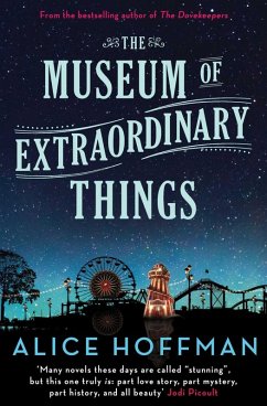 Cover The Museum of Extraordinary Things (eBook, ePUB)