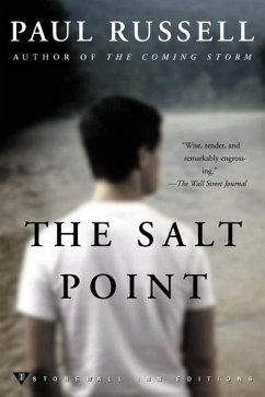 Cover The Salt Point (eBook, ePUB)
