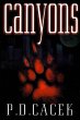 Canyons (eBook, ePUB) - Bild 1