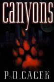 Canyons (eBook, ePUB)