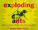 Exploding Ants (eBook, ePUB)
