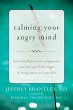 Calming Your Angry Mind (eBook, ePUB) - Bild 1