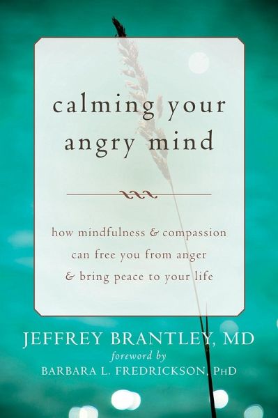 Calming Your Angry Mind (eBook, ePUB)