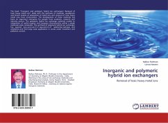 Inorganic and polymeric hybrid ion exchangers