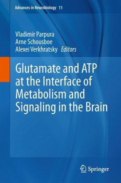 Glutamate and ATP at the Interface of Metabolism and Signaling in the Brain