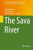 The Sava River