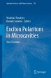 Exciton Polaritons in Microcavities - Bild 1
