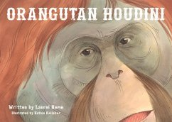 Orangutan Houdini - Neme, Laurel