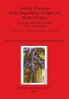 Natural Processes in the Degradation of... - Bild 1