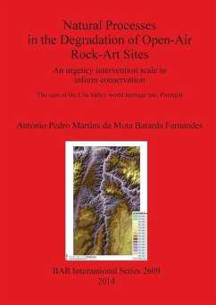 Natural Processes in the Degradation of Open-Air Rock-Art Sites - Martins Da Mota Batarda Fernandes, Antó