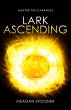 Lark Ascending - Bild 1