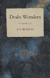 Dodo Wonders - Bild 1