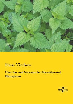 Cover Über Bau und Nervatur der Blattzähne und Blattspitzen