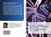 Xenobiotic metabolizing enzyme genes & esophageal & gastric cancers