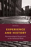 Experience and History (eBook, PDF)