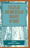 Cellular and Molecular Biology of Bone (eBook, ePUB)