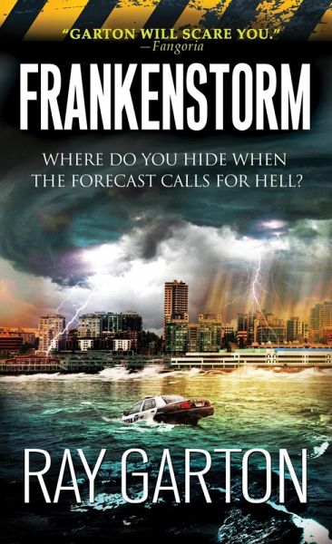 Frankenstorm (eBook, ePUB)