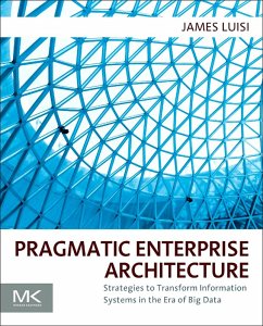 Pragmatic Enterprise Architecture (eBook, ePUB) - Luisi, James