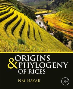 Origins and Phylogeny of Rices (eBook, ePUB) - Nayar, N. M.