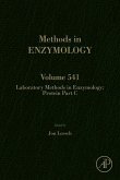 Laboratory Methods in Enzymology: Protein Part C (eBook, ePUB)
