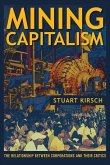 Mining Capitalism (eBook, ePUB)