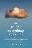 Don't Believe Everything You Think (eBook, ePUB)
