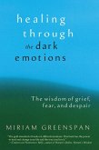 Healing through the Dark Emotions (eBook, ePUB)