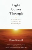 Light Comes Through (eBook, ePUB)