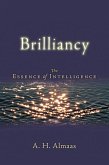 Brilliancy (eBook, ePUB)