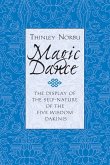 Magic Dance (eBook, ePUB)