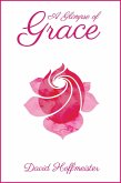 Glimpse of Grace (eBook, ePUB)