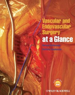 Vascular and Endovascular Surgery at a Glance (eBook, ePUB) - Mcmonagle, Morgan; Stephenson, Matthew