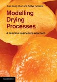 Modelling Drying Processes (eBook, ePUB)