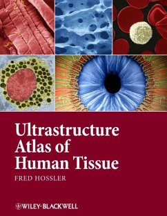 Cover Ultrastructure Atlas of Human Tissues (eBook, ePUB)