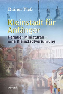 Kleinstadt für Anfänger (eBook, ePUB) - Pleß, Rainer
