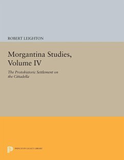 Morgantina Studies, Volume IV - Leighton, Robert