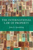 The International Law of Property (eBook, ePUB)