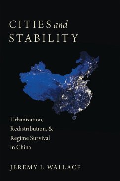 Cities and Stability (eBook, ePUB) - Wallace, Jeremy