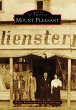 Mount Pleasant (eBook, ePUB) - Bild 1