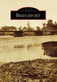 Bridgeport (eBook, ePUB)