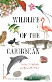 Wildlife of the Caribbean (eBook, PDF)