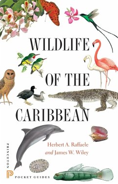 Wildlife of the Caribbean (eBook, PDF) - Raffaele, Herbert A.