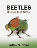 Beetles of Eastern North America (eBook, PDF)