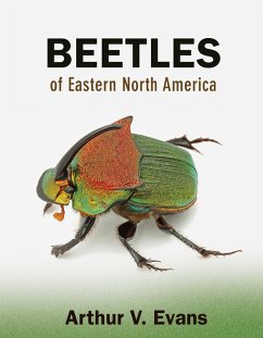 Cover Beetles of Eastern North America (eBook, PDF)