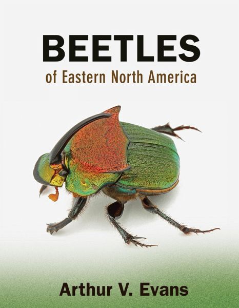 Beetles of Eastern North America (eBook, PDF) Beetles of Eastern North America (eBook, PDF)