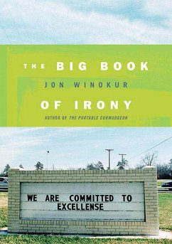 The Big Book of Irony (eBook, ePUB) - Winokur, Jon