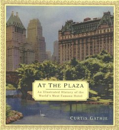 At the Plaza (eBook, ePUB) - Gathje, Curtis