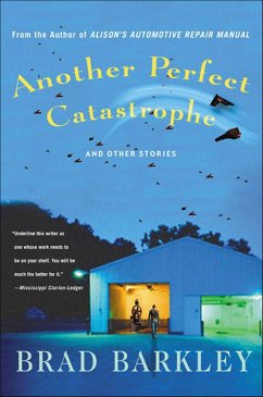 Cover Another Perfect Catastrophe (eBook, ePUB)