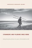 Strangers and Pilgrims Once More (eBook, ePUB)