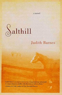 Cover Salthill (eBook, ePUB)